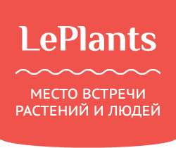 LePlants
