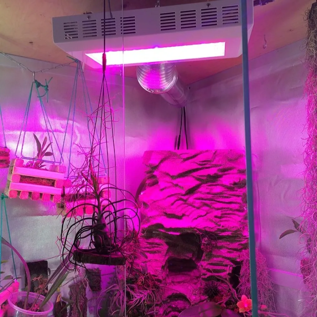 led светильник работает в орхидариуме