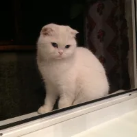 Татьяна