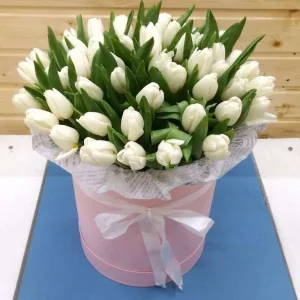 Тюльпаны оптом Новосибирск