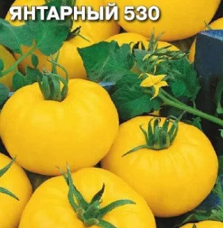 Томат 'Янтарный 530'