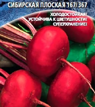 Свекла столовая 'Сибирская плоская 167/367'