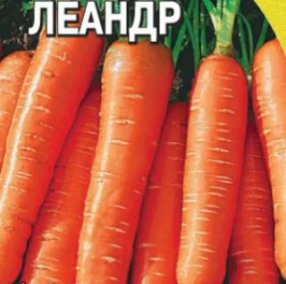 Морковь посевная 'Леандр'