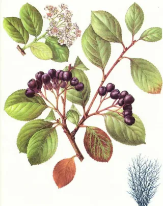 1570-1