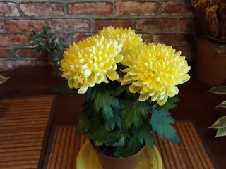 Ваш Цветок
