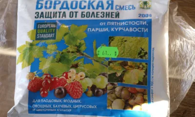 Бордоская смесь