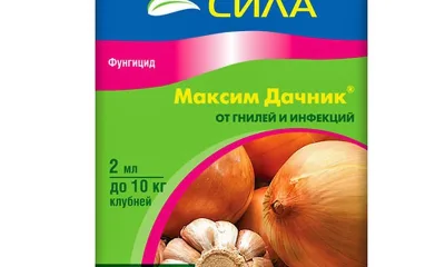 Максим