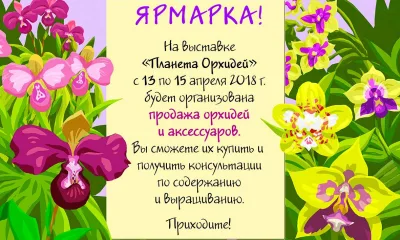 Выставка-ярмарка "Планеты орхидей" в музее им. К.А. Тимирязева с 13 по 15 апреля 2018