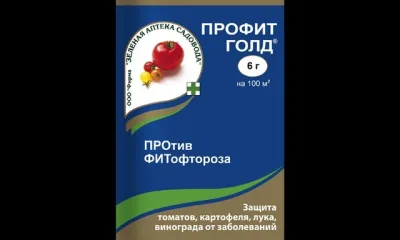 Профит