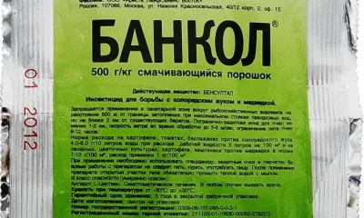Банкол