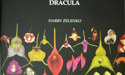 Делимся впечатлениями от книги Orchids Masdevallia with its segregates including Dracula Гарри Зеленко