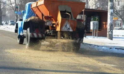 Противогололедные реагенты не щадят ни снег, ни растения