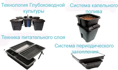 Какую систему гидропоники выбрать?