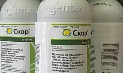 Скор