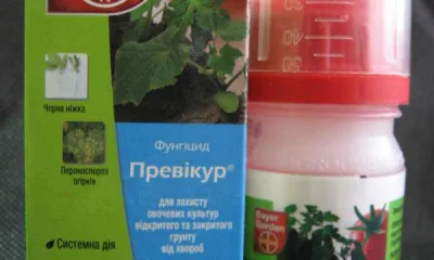 Превикур
