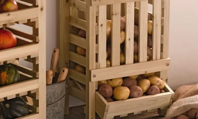 Как хранить картофель в домашних условиях