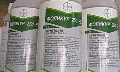 Фоликур