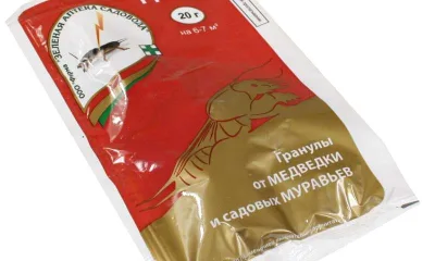 Гром