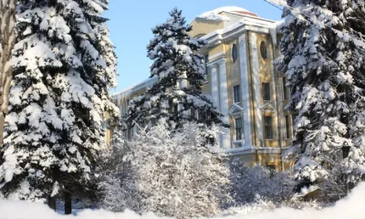 Санкт-Петербургский Ботсад приглашает на фестиваль, приуроченный к Новому году