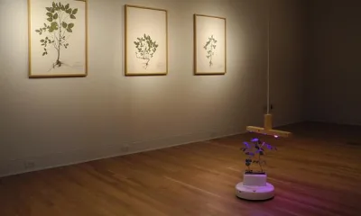 Soybot — робот, доставляющий растения к источнику света