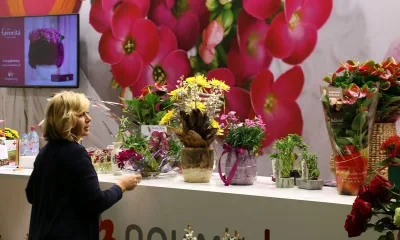 Flower Expo завершилась грандиозной распродажей растений