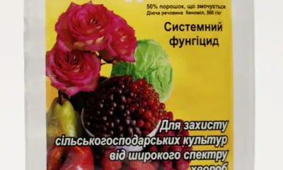 Фундазол