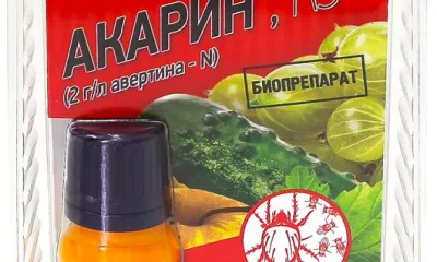 Акарин
