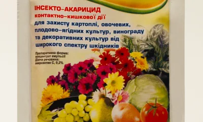 Актофит