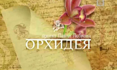 «Орхидея». Фильм Павла Лобкова