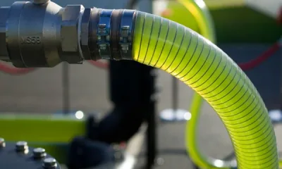 Разработана новая технология производства биотоплива из растений при помощи бактерий