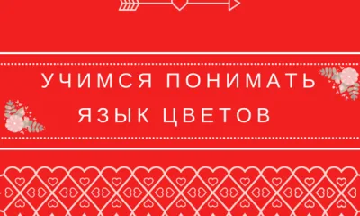 Учимся понимать язык цветов или что нельзя дарить на день всех влюбленных?