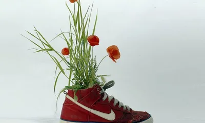Кроссовки из цветов, коры и мха — бесплатную рекламу Nike сделал художник из Парижа Кристоф Гине