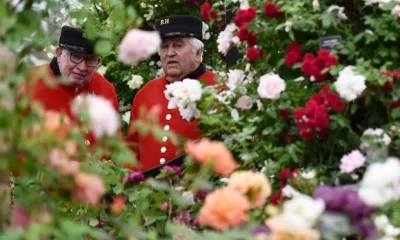 Выставка Chelsea Flower Show-2015 прошла с привычным размахом