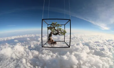 Космическое искусство