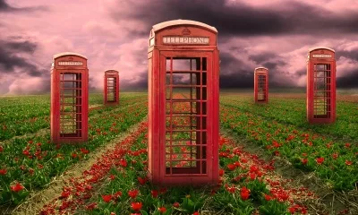 Переговоры растений доказаны наукой