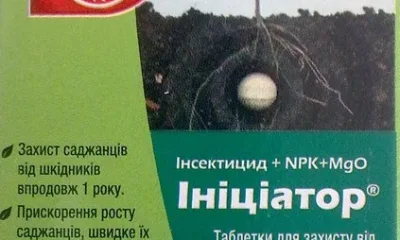 Инициатор