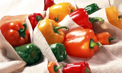 Хранение болгарского и горького стручкового перца в домашних условиях