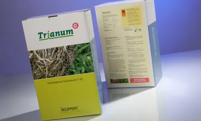Энзимы