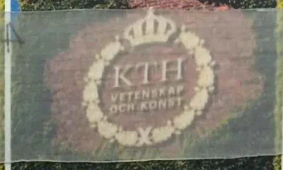 Древесина как стекло — новинка от шведских изобретателей
