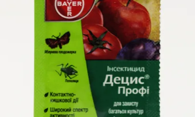 Децис