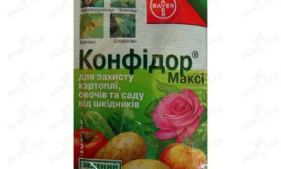Конфидор