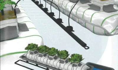 Системы капельного орошения в гидропонике (Drip systems)