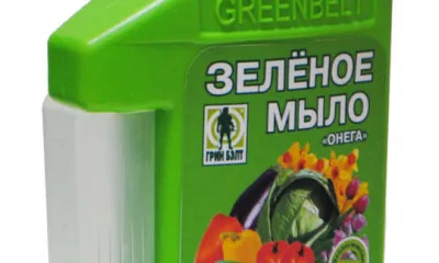 Зеленое мыло