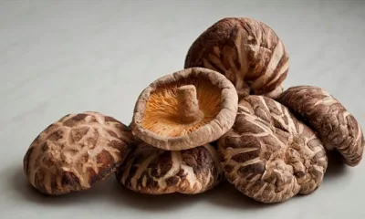Изменение генов гриба шиитаке может сделать его мощным средством протии рака