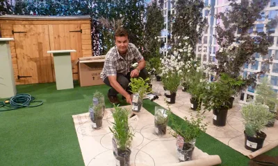 Как с помощью Gardenonaroll быстро организовать цветник в саду