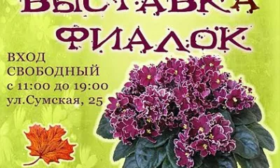 Сотни фиалок покажут на выставке в Харькове