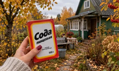 С первым снегом покупаю 2 кг соды — и не мучаюсь, как городские: мой главный дачный лайфхак