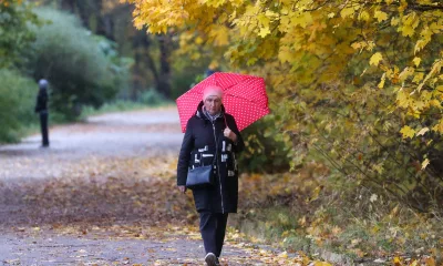 Бабье лето будет, но радоваться не стоит — теплых дней мало, а перед ними заморозки: прогноз с 9 сентября