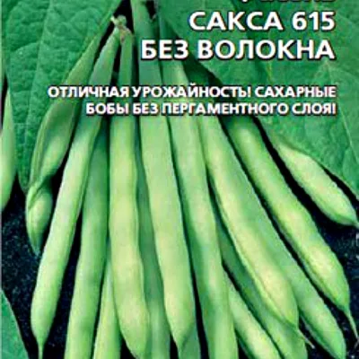 Фасоль обыкновенная 'Сакса без волокна 615'