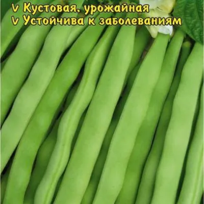 Фасоль обыкновенная 'Хавская универсальная'